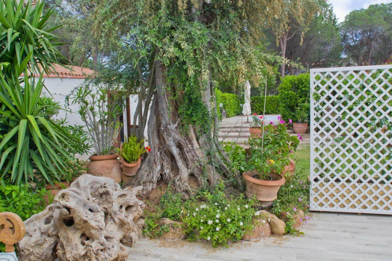 Jungle House - Pineta Is Morus Villa Santa Margherita di Pula Ngoại thất bức ảnh